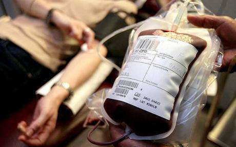 donor darah 4