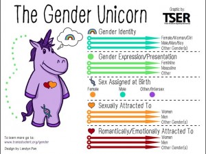 Gender Unicorn